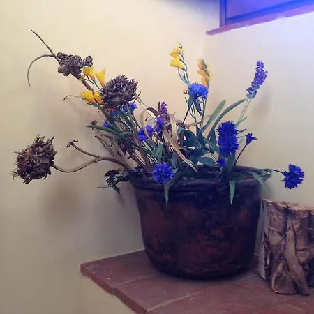 Farma Torraccia Di Chiusi Relais *