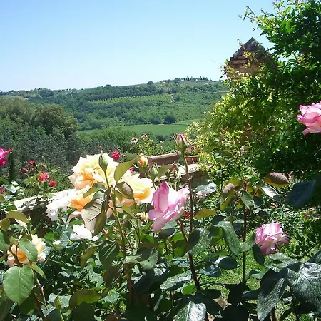 Farma Torraccia Di Chiusi Relais