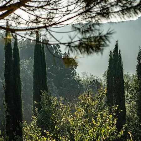 Torraccia Di Chiusi Relais *