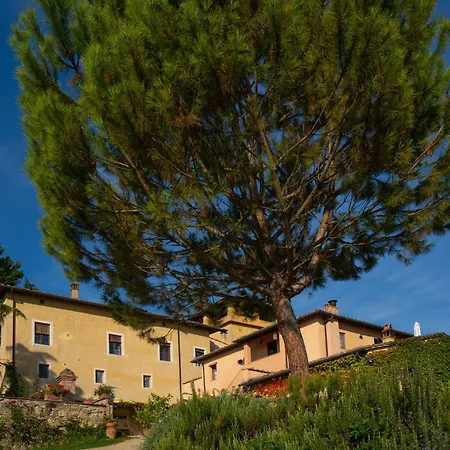 Torraccia Di Chiusi Relais